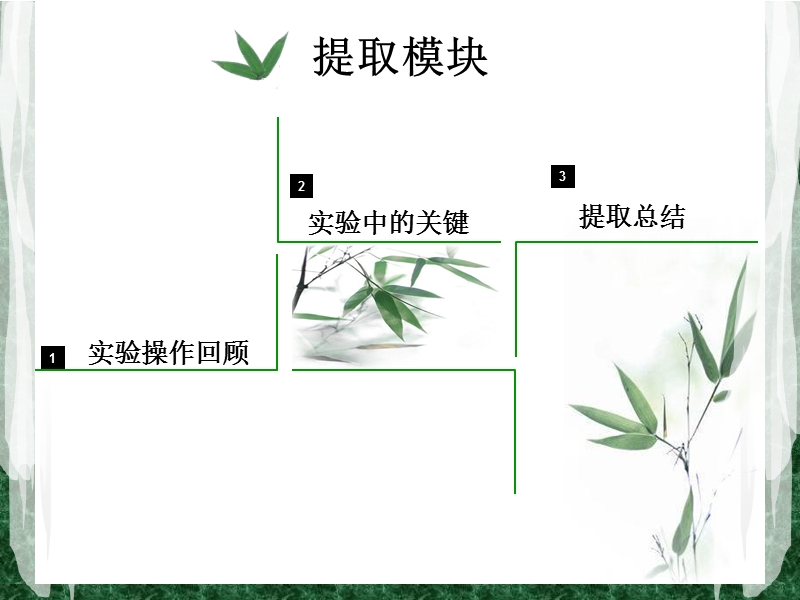 呼风唤雨学期总结.ppt_第3页