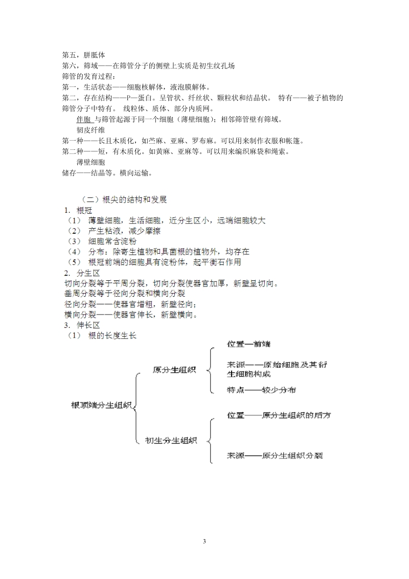 植物学复习资料.doc_第3页