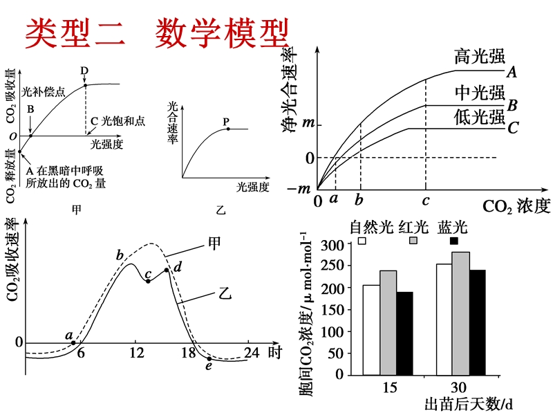 光合呼吸.ppt_第3页