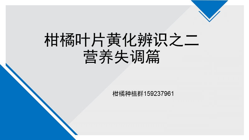 柑橘叶片黄化辨识之二：营养失调篇.pptx_第1页