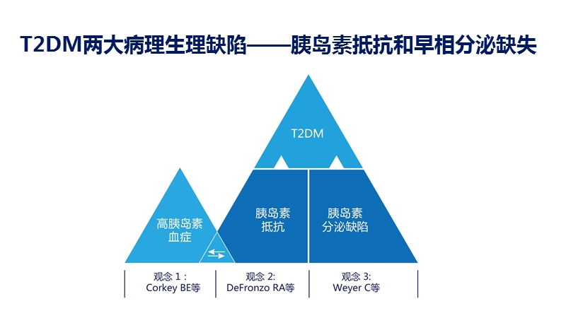 利拉鲁肽降低内脏脂肪.ppt_第3页