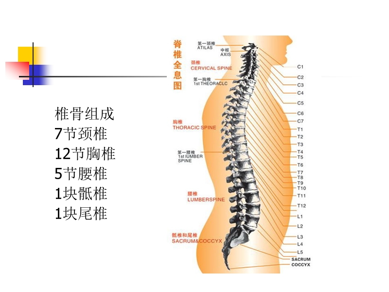 截瘫病人的护理.ppt_第3页