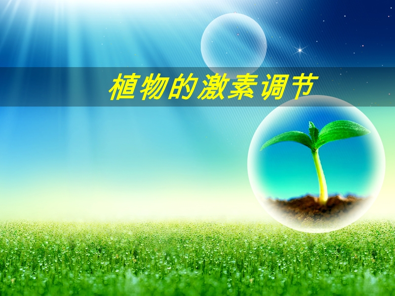 植物生长激素的发现.ppt_第1页