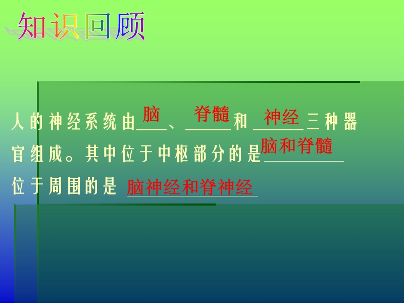 初一理化生 神经调节的基本方式ppt模版课件.ppt_第2页