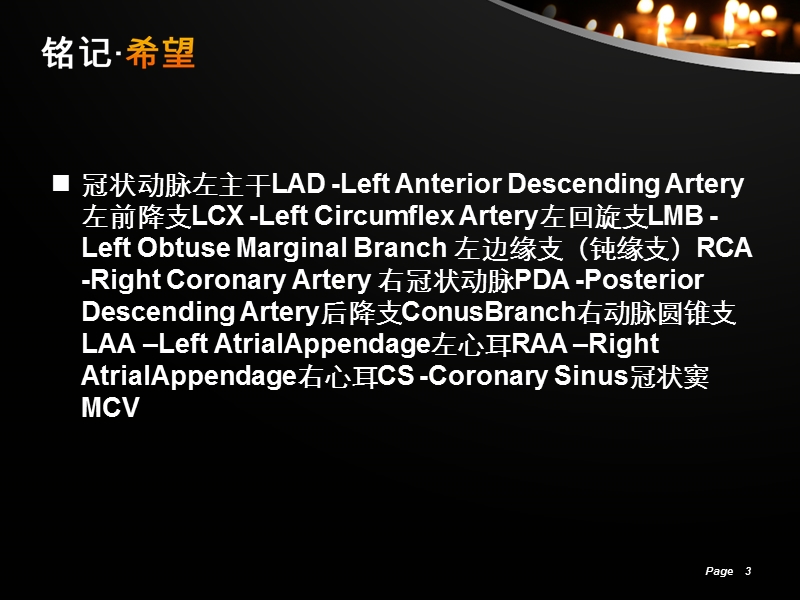 心脏冠状动脉ct解剖.ppt_第3页