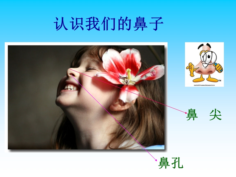 中班安全教育《小鼻子真灵》.ppt_第3页