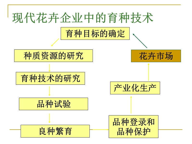 园林植物良种繁育.ppt_第2页