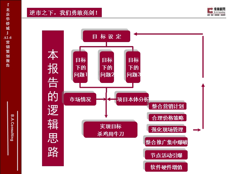 北京华侨城a1-6营销计划报告80p.ppt_第3页