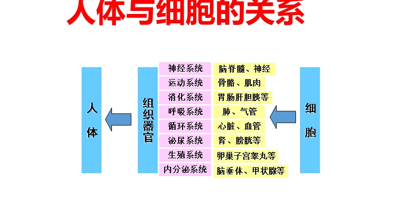 五行与数字能量学论健康养生.pptx_第3页