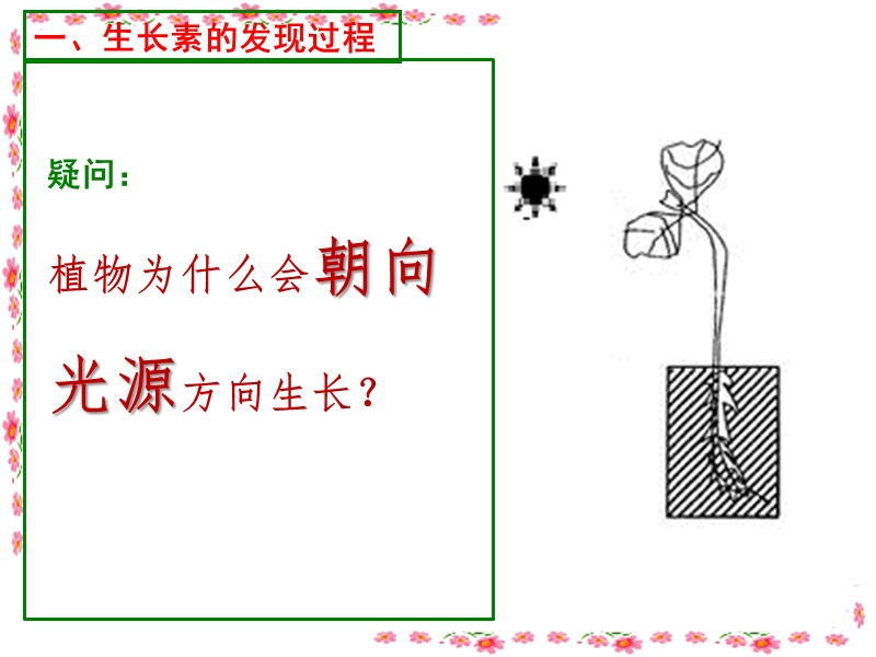 植物生长素的发现.ppt_第3页