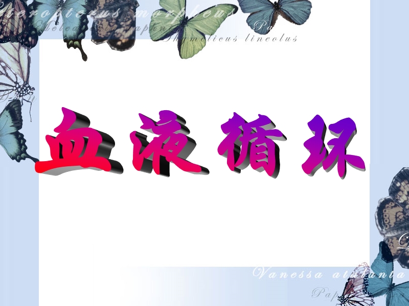 循环系统的生理功能.ppt_第1页