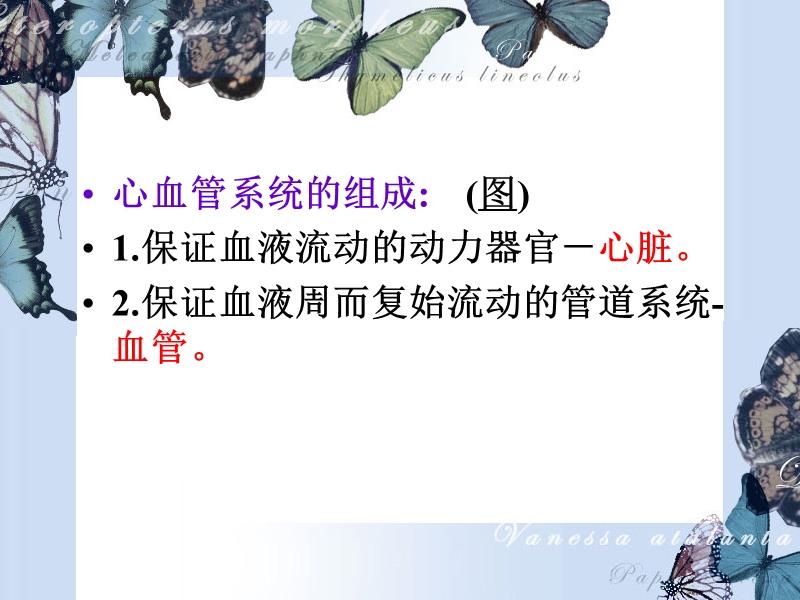 循环系统的生理功能.ppt_第3页