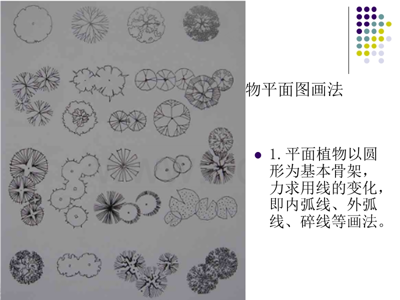 建筑配景表现技法(树、车、水面、山石画法).ppt_第2页