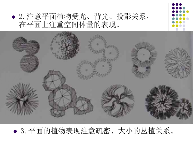 建筑配景表现技法(树、车、水面、山石画法).ppt_第3页