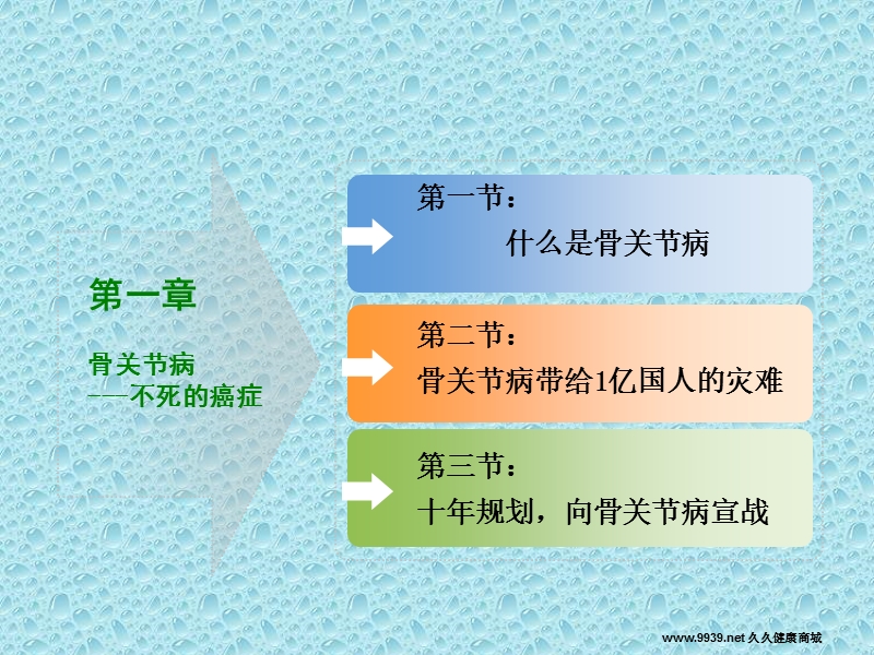 氨糖与骨关节健康.ppt_第3页