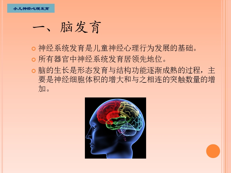 婴幼儿神经系统发育与检查方法.ppt_第2页