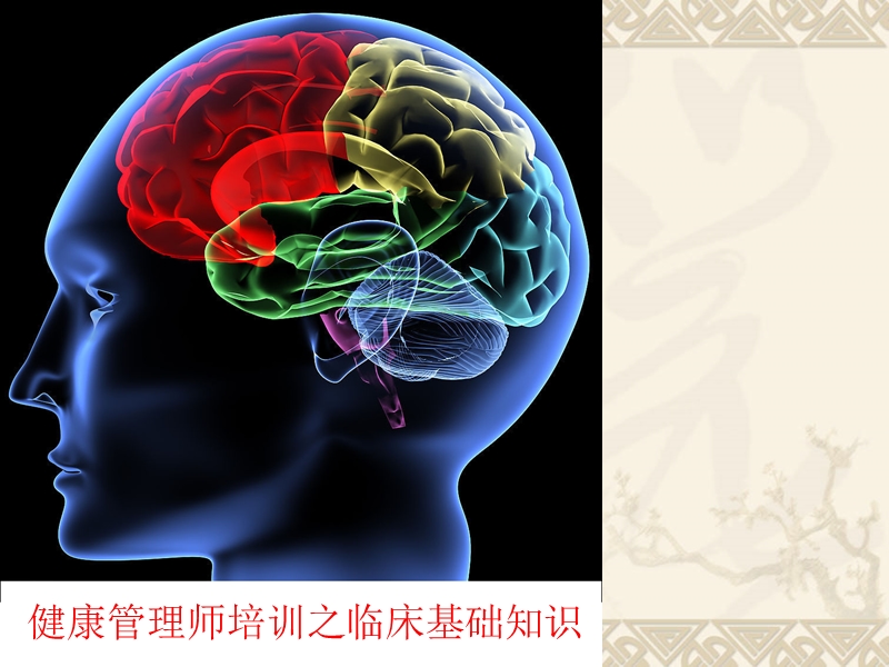 健康管理之临床基础知识.ppt_第1页