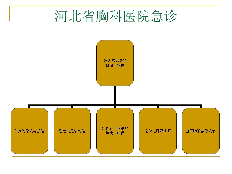 急诊的急救与护理.ppt_第2页