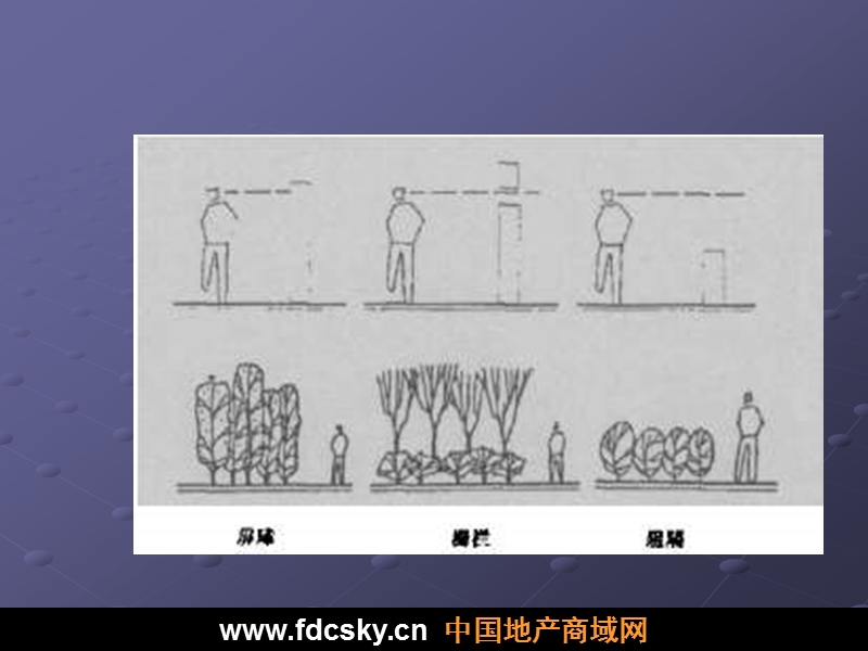 房地产园林植物造景设计（50页）.ppt_第2页