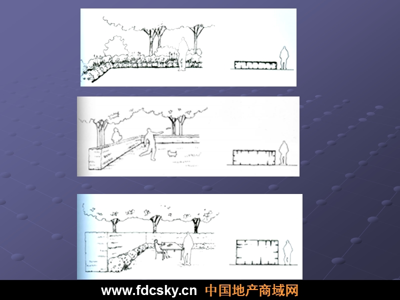 房地产园林植物造景设计（50页）.ppt_第3页