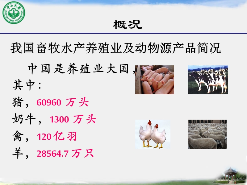 动物源性食品的发展现状.ppt_第2页