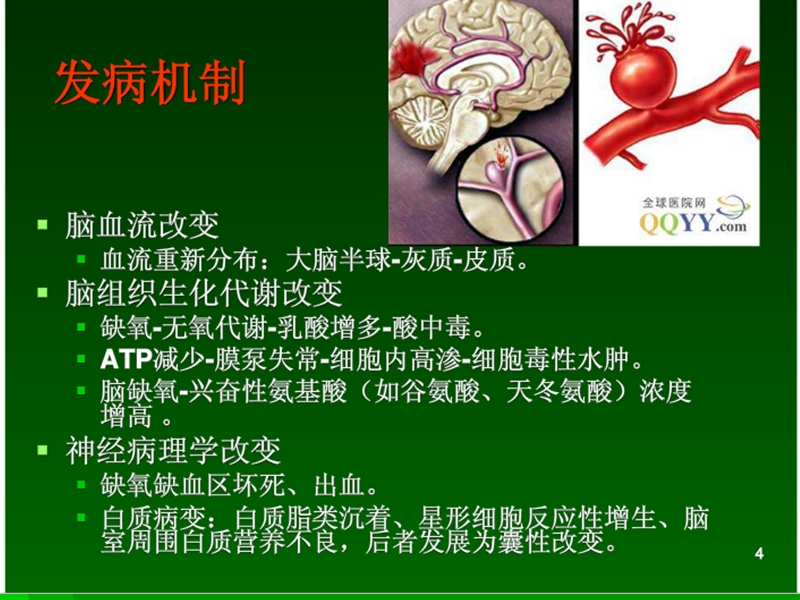 新生儿缺氧缺血性脑病的影像诊断.ppt_第3页