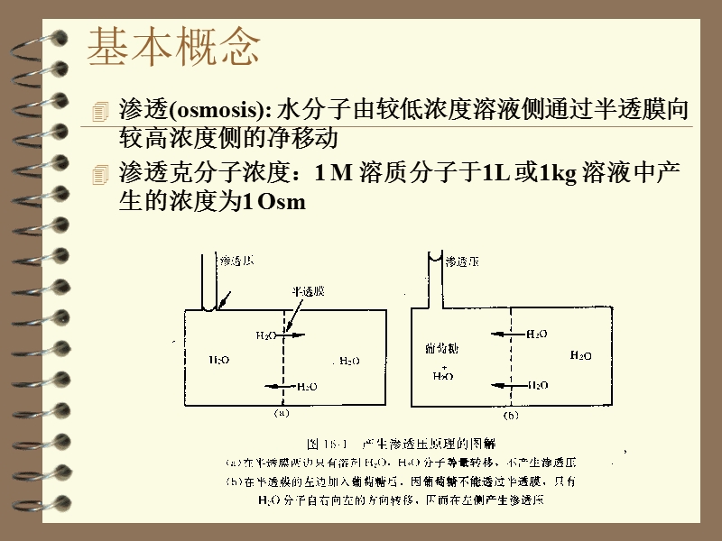 体液渗透平衡失常及其治疗.ppt_第3页