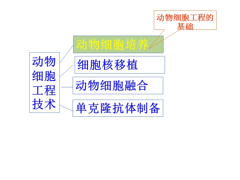 动物细胞工程ppt.ppt_第2页