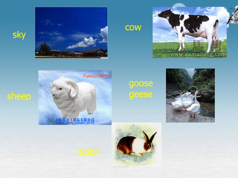 八年级英语上册《unit 4 our world topic 1 plants and animals are important to us》课件 仁爱版.ppt_第2页