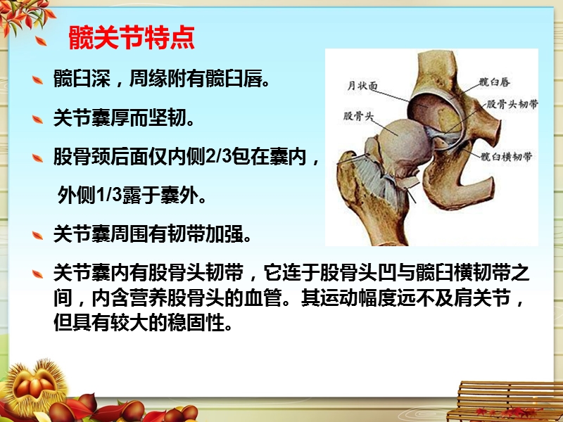 全髋关节置换术后护理.ppt_第3页