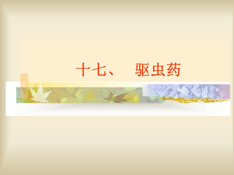 十七、驱虫药.ppt_第1页