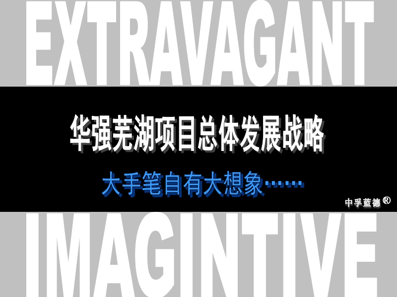 中孚蓝德芜湖项目总体发展战略.ppt_第1页