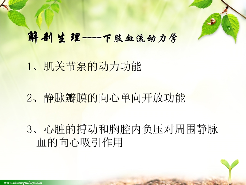 周围血管疾病的护理.ppt_第2页