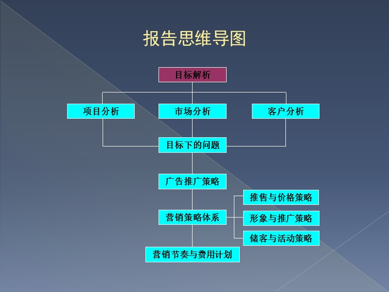 昆明天润康园项目总体营销策划报告148p.ppt_第2页