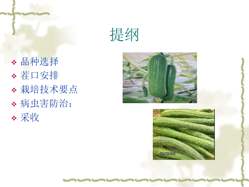 水果黄瓜栽培技术.ppt_第2页