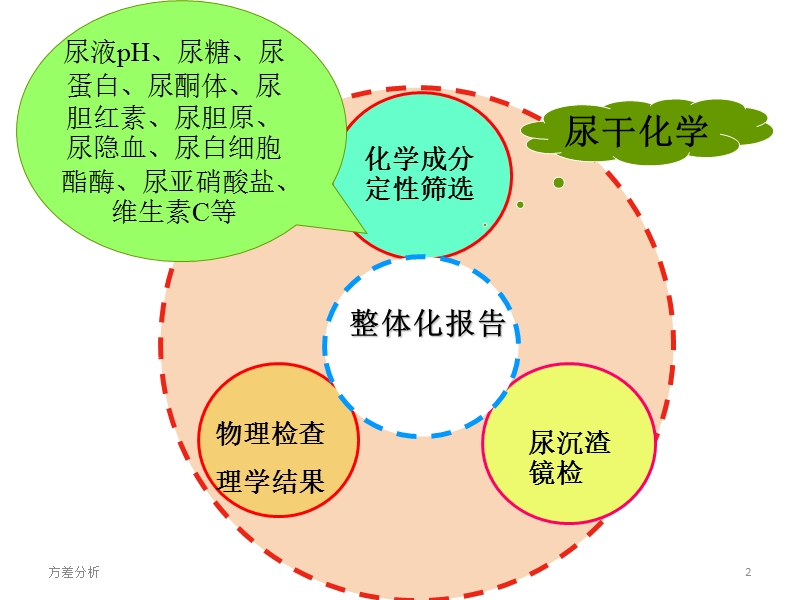 尿液常规解析.ppt_第2页