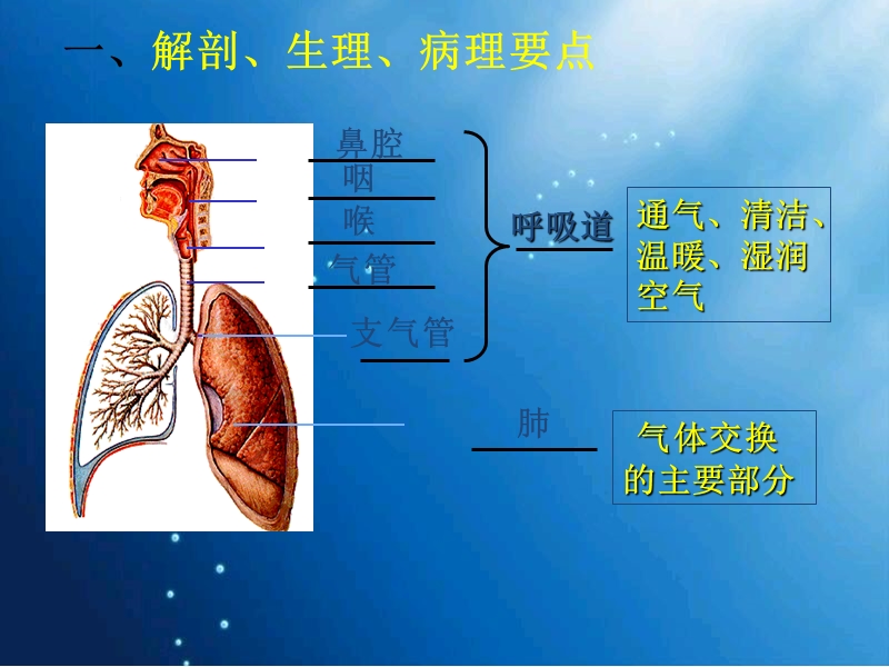 呼吸系统疾病病人护理总论.ppt_第3页