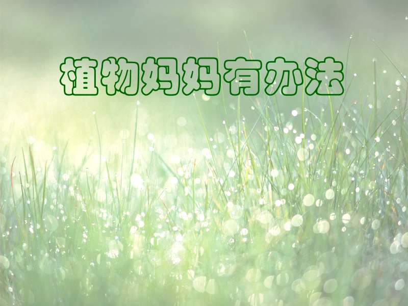 人教版二年级语文上册课件植物妈妈有办法2.ppt_第1页