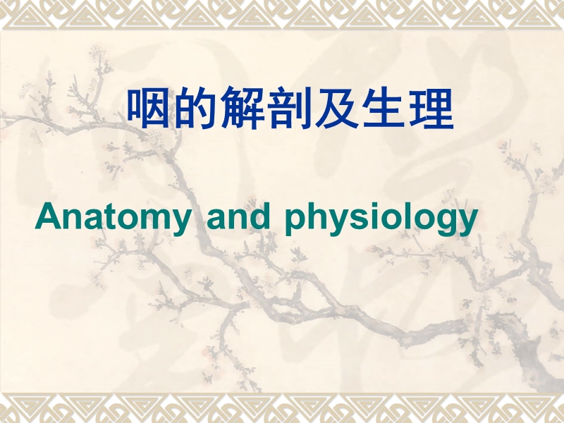 咽科学2008.ppt_第3页