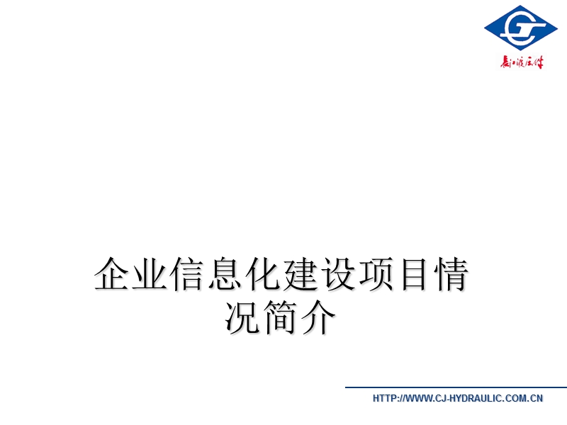 企业信息化建设项目情况简介.ppt_第1页