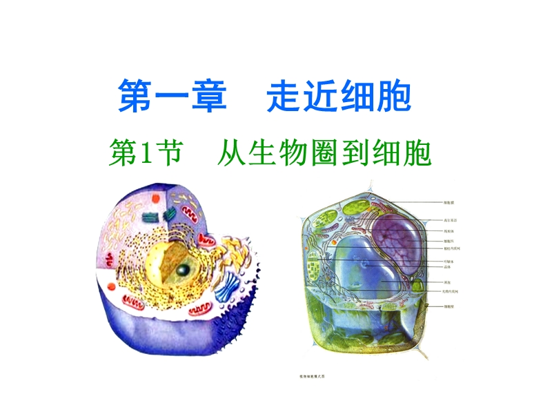 人教版高中生物必修一全套课件(406张精美ppt).ppt_第1页