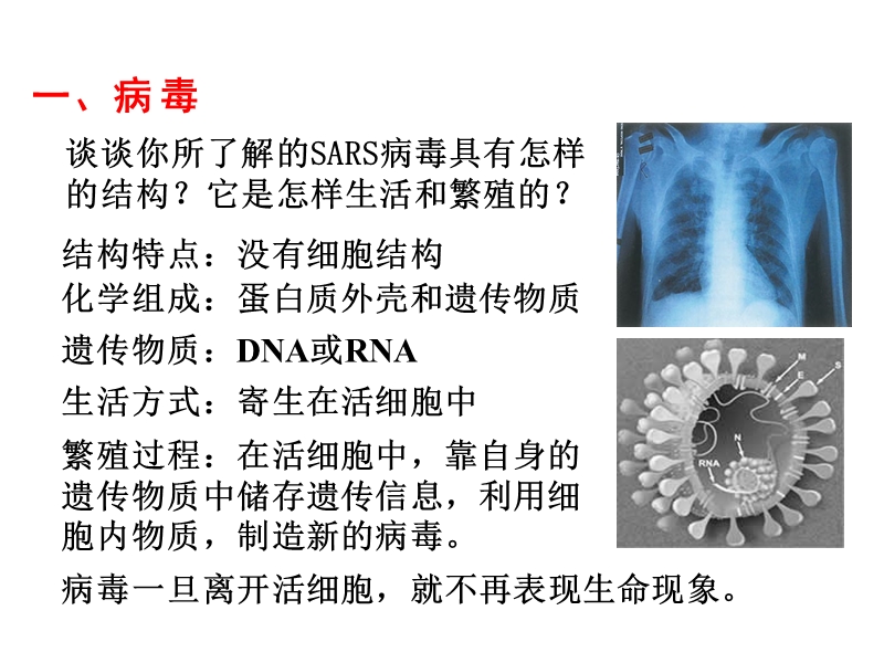 人教版高中生物必修一全套课件(406张精美ppt).ppt_第2页