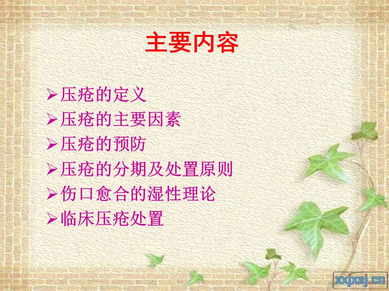 压疮的防护.ppt_第2页