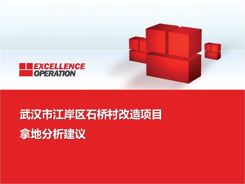 武汉市江岸区后湖某项目拿地分析建议.pptx_第1页