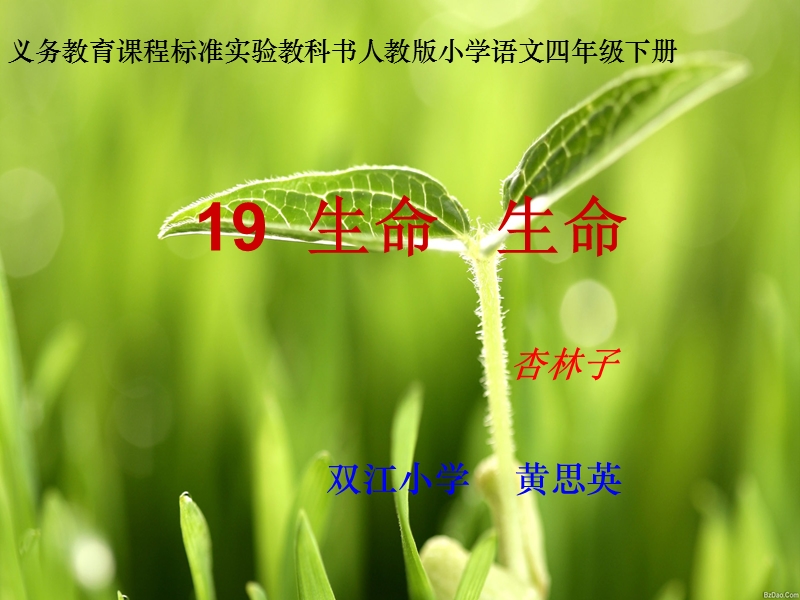 《生命 生命》.ppt_第1页