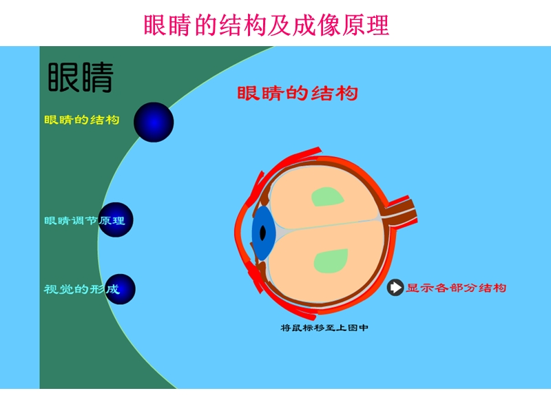 八年级物理下册 第六章 第四节 眼睛和眼镜（第4课时）课件 （新版）北师大版.ppt_第3页