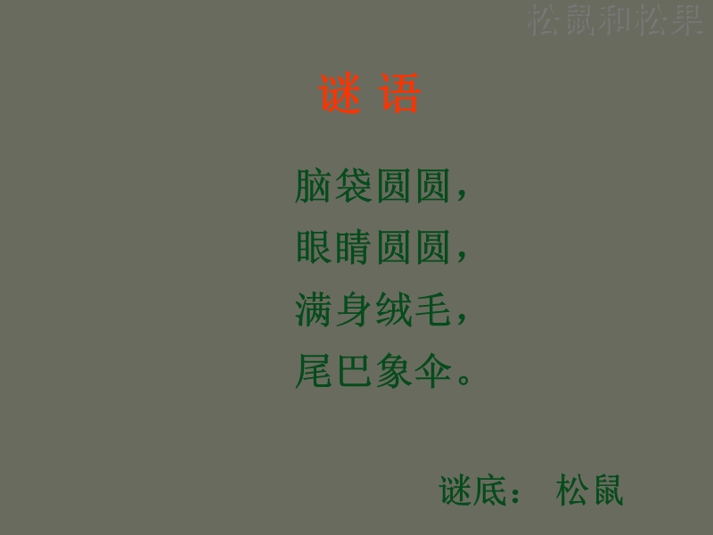 人教版一年级语文下册《松鼠和松果》.ppt_第1页