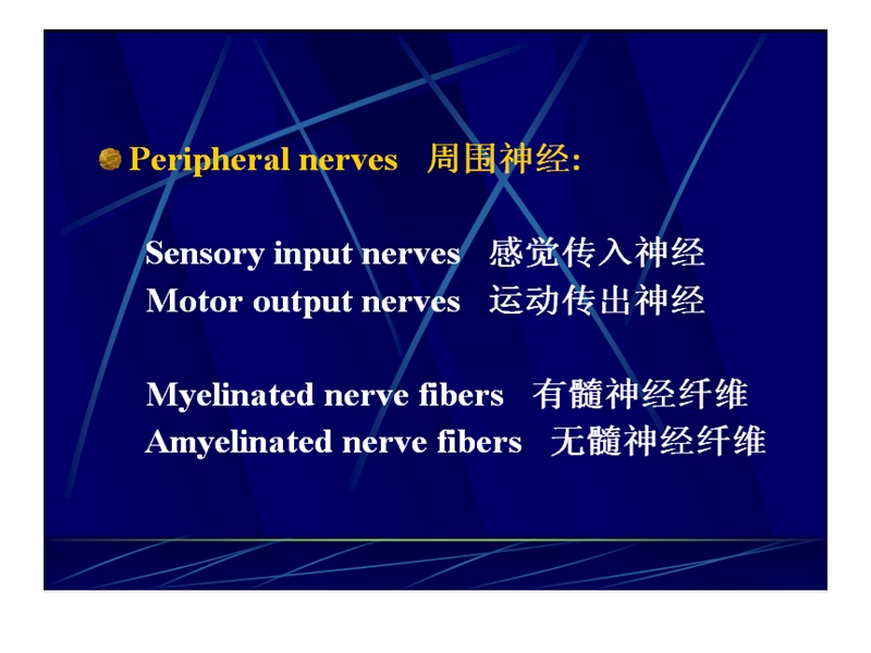 周围神经疾病.ppt_第3页