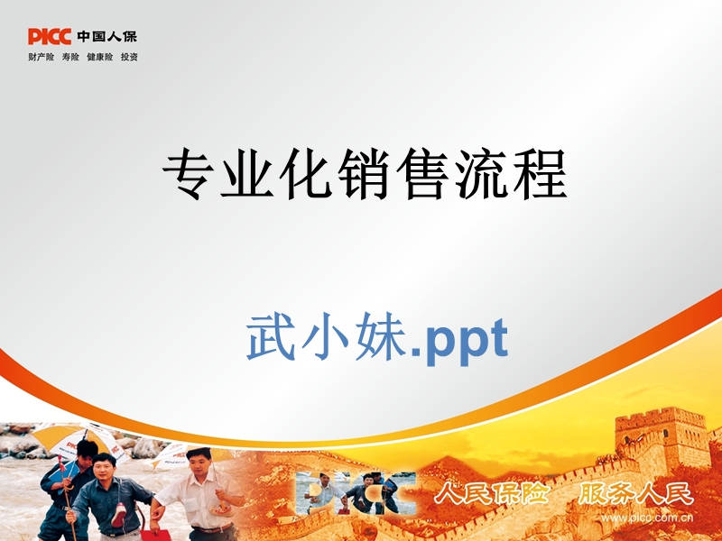 专业化销售流程（ppt）.ppt_第1页