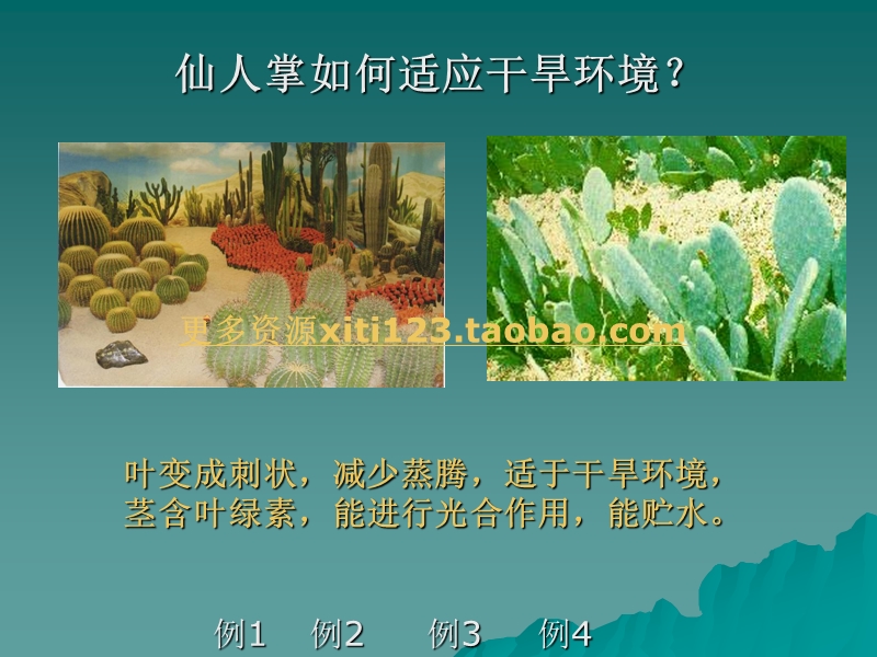 初一生物第二节.ppt_第2页